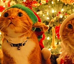 Новогодняя ночь в Астрахани будет теплой и бесснежной