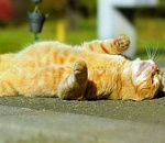 Жара в Астрахани побъет все рекорды в начале следующей недели