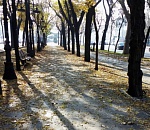 Завтра в Астраханской области продолжится потеря тепла: ночью уже будет, как днем глубокой осенью