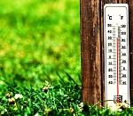 Погода готова сразу после апреля объявить лето: завтра в Астраханской области ожидается +33°