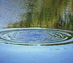 В Астраханской области утонула годовалая девочка  