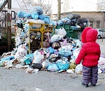 В отношении «Эко-Системы» проводится процессуальная проверка