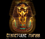 Астраханцев приглашают на выставку Египетских мумий
