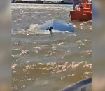 Водителя лодки, перевернувшейся с людьми на Волге в Астрахани, привлекли к ответственности