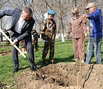 В астраханском селе посадили именные деревья памяти пяти погибших воинов СВО