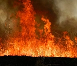 В астраханском заповеднике открылся сезон пожаров