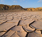 На спасение от опустынивания земель в Астраханской области потратят 6 млн рублей