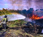 Во время ОПР в Астраханской области произошли 4022 ландшафтных пожара