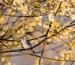 Небесная канцелярия завтра порадует астраханцев