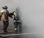 Сегодня под Астраханью подожгли машину