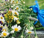 Жара не торопится возвращаться в Астрахань