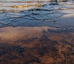 На южной окраине Астрахани загрязнили Волгу