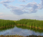 Астраханскому заказнику "Степной" - федеральный статус