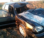 Под Астраханью машина сбила лошадь и опрокинулась: водитель погиб