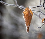 К выходным на территории Астраханской области похолодает до -10°