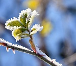 Днем весна, ночью мороз: перепад в 20 градусов ждет астраханцев за сутки
