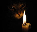 Экономика должна быть экономной? Городская Дума Астрахани приняла бюджет на 2015 год