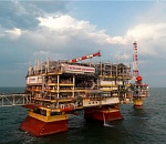 Платформы ЛУКОЙЛ морские обитатели используют в качестве «роддома»