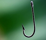 Весенняя путина в Астраханской области отменяется: все базы закрыты до 1 июня