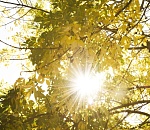 Завтра температура в Астраханской области вновь поднимется до +30