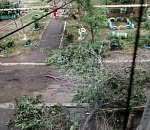 В Астрахани ночная гроза повалила деревья