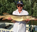 Астраханский губернатор поймал гигантскую щуку