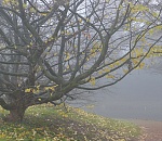 Завтра в Астрахани тепло, но ветрено и сыро