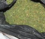 Астраханский сборщик конопли принял полицейского за таксиста