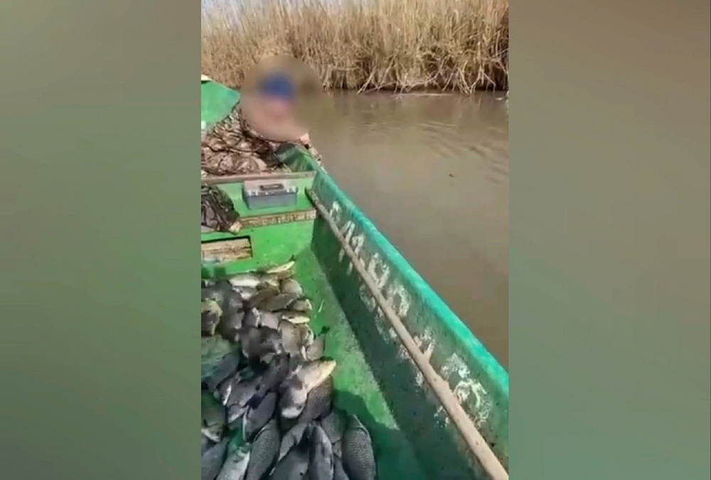 Под Астраханью приезжий браконьер наловил килограммы рыбы практически голыми руками: видео 