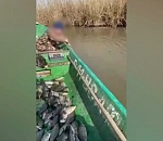 Под Астраханью приезжий браконьер наловил килограммы рыбы практически голыми руками: видео 