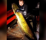 Под Астраханью рыбак поймал 40-килограммового сома