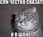 Мотоциклист нарушил ПДД в Астрахани, находясь за её пределами