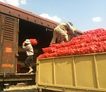 Астраханские овощи сослали в Сибирь