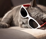 В субботу в Астраханской области потеплеет