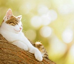 Завтра в Астрахани будет нереально тепло