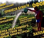 Астраханские депутаты просят освободить дачников от дорогостоящей бумажной волокиты