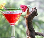 В Астрахань идет живительная прохлада с дождем