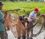 Астраханцы-энтузиасты отправятся спасать рыбную молодь