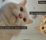 Игорю Бабушкину запретят иметь зарубежные счета, а Александру Шарыкину придумают процедуру отставки по утрате доверия