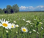 Астраханская погода в июне