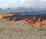 В Астрахани вновь ожидается чрезвычайная пожароопасность 5 класса