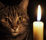 Сегодня отключат свет в двух районах Астрахани