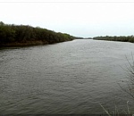 В Астраханской области почти месяц ищут пропавшую у реки девочку