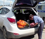 В Астрахани полиция задержала кроссовер с марихуаной