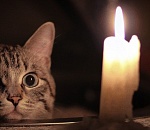 Более 30 улиц Астрахани останутся сегодня без света