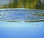 Под Астраханью обнаружили тело пенсионера-рыбака