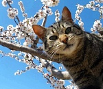 Суббота в Астрахани обещает быть тёплой