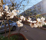 Тепло не хочет возвращаться в Астрахань