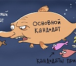 Пройти муниципальный фильтр невозможно без указания сверху. Как кандидаты в губернаторы собирают подписи