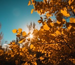 В сентябре погода приготовила для астраханцев температурные качели